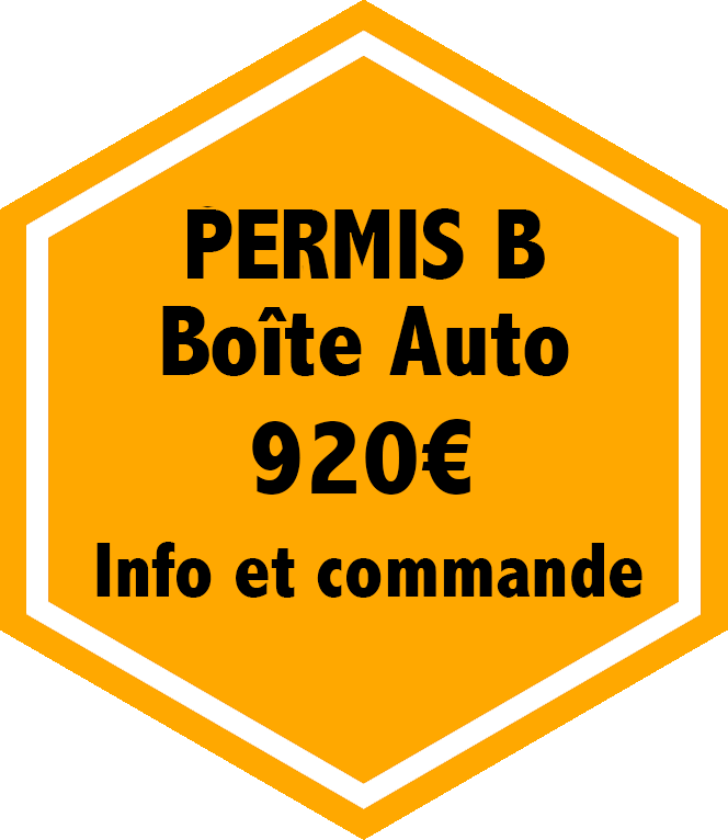 Permis B - Boîte Automatique - Code + Conduite - Auto Ecole Europe